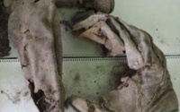 В Тюменской области нашли скелетированный труп молодой женщины 