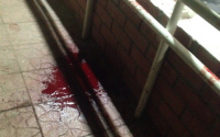 Тюменцы фотографируют подъезд дома, в котором много крови