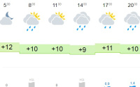 В Тюмени будет дождливо и прохладно 