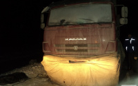 Сотрудники МЧС спасли от замерзания на тюменской трассе 80  поросят