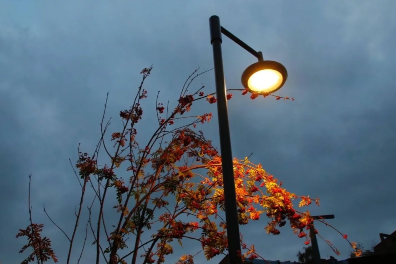 ����: ng72.ru