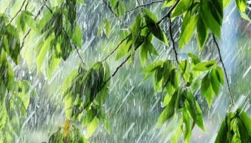 В воскресенье в Тюмени снова ожидается дождь