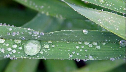 В четверг характер погоды в Тюмени не изменится