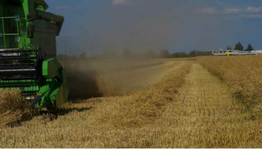 В Тюмени в рамках КРТ изъяли земли в трех районах