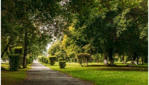 До конца года в Тюмени благоустроят семь общественных пространств