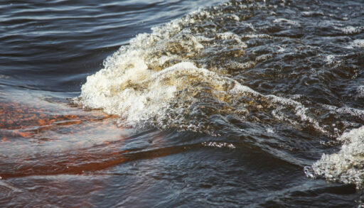 В Тюмени в 2025 году может появиться бесплатный пляж