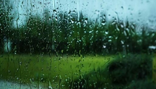 Тюменцев ждет дождливая неделя