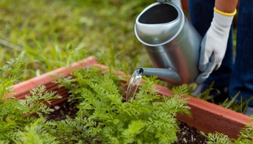 Огород грядки почва дача.freepik.com