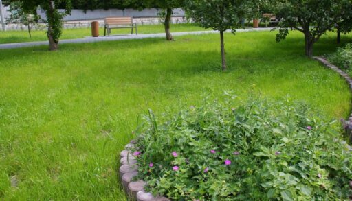 На месте "позорного" долгостроя в Тюмени обустроят сквер в честь СВО