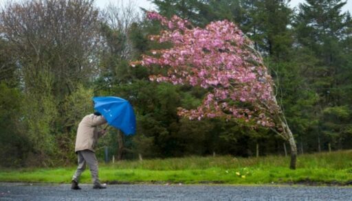 Последняя неделя лета не порадует тюменцев жарой