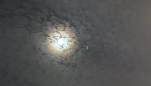 Весов ждёт полезное знакомство, Скорпионов –успех, Водолеев – встреча с друзьями