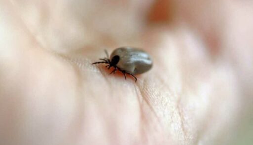 Главное управление строительства Тюменской области