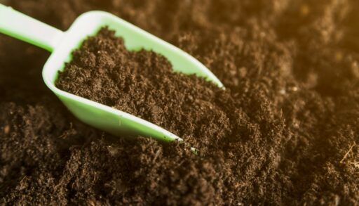 Огород грунт почва лопата 2 freepik.com