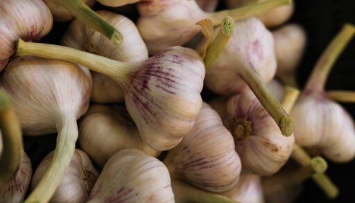 Огород овощи чеснок 2 freepik.com