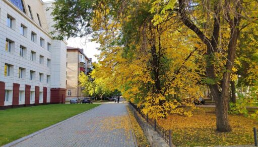 Максимально температура воздуха будет подниматься до +17 градусов