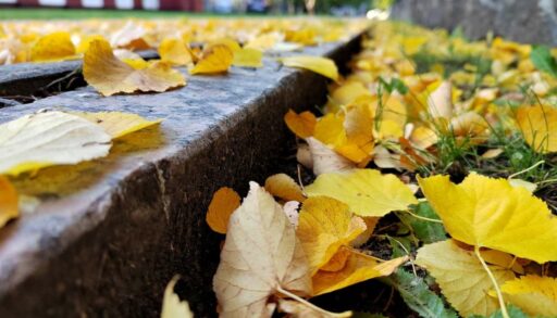 В пятницу в Тюмени похолодает и пойдет дождь