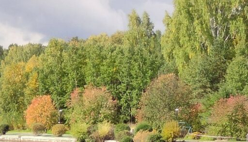 В пятницу в Тюмени будет тепло и солнечно