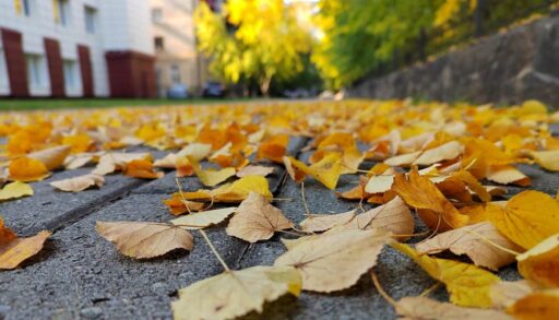 На следующей неделе тюменцев ждут дожди, похолодание и сильный ветер