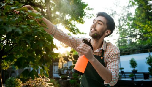 Сад обработка от инфекций freepik.com