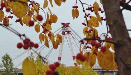 Когда выпадет снег