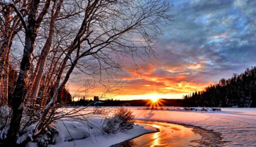 Сюрпризы от природы