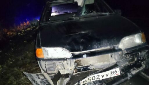 На тюменской трассе насмерть сбили мужчину