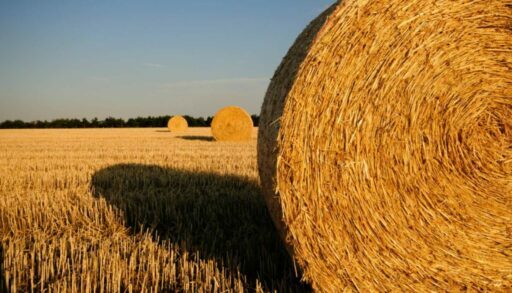 В Тюменской области сгорели 430 тюков сена и соломы