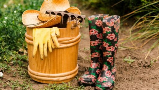 Огород бочка компост freepik.com