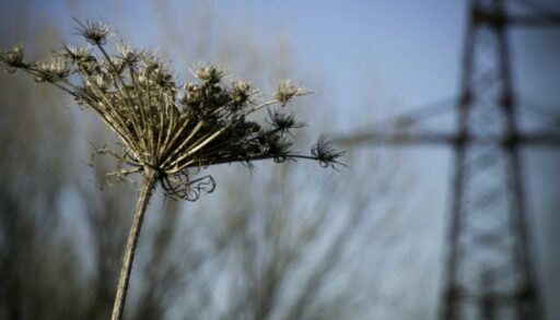 Пятница в Тюмени будет теплой, но пасмурной