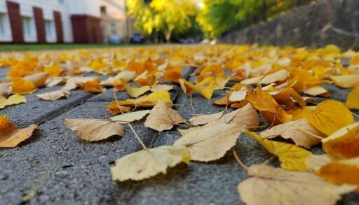 В среду в Тюмени резко похолодает