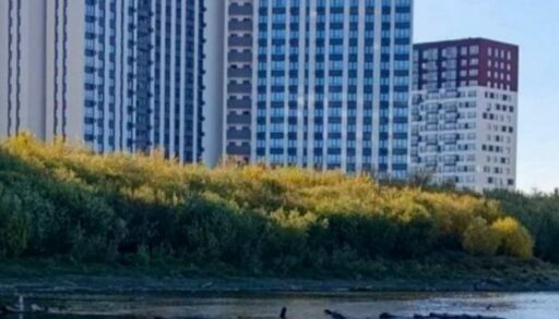 В тюменской Туре обнаружили большое количество топляка