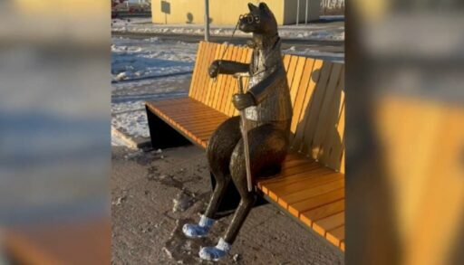 Соболек в носочках - в Тюмени появился новый арт-объект