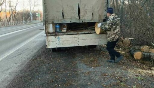 Последствия шторма в Тюмени: упавшие деревья, сломанные ветки и остановки