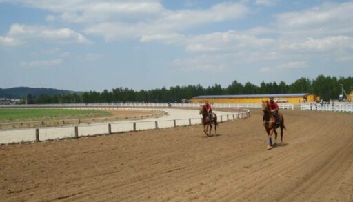В Тюмени построят лучший ипподром в России