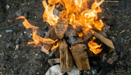 Дача древесная зола freepik.com