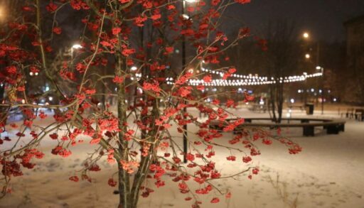 Городской пляж, карантин в школах, банда мигрантов и наступающее похолодание