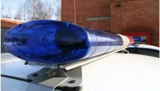 В тюменских кафе и на рынках прошла облава на мигрантов