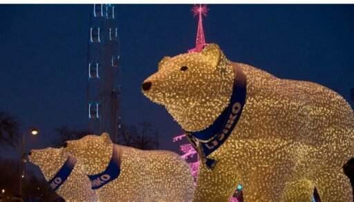 В Тюмени белые медведи СУЭНКО проедут по новому маршруту