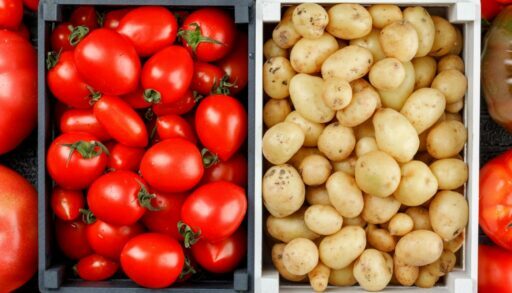 Овощи томат картофель помидофель freepik.com