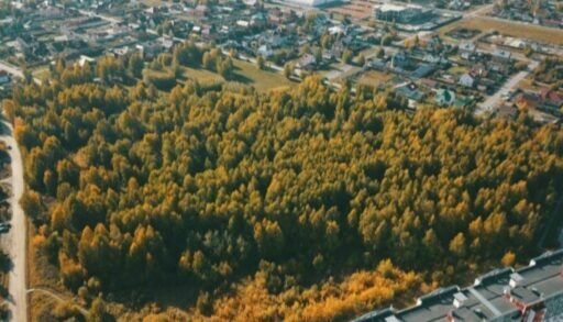 В эту субботу в Тюмени откроют парк Константина Лагунова