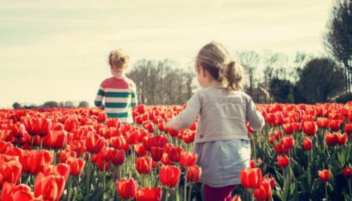 В Тюмени сняли фильм о бесследно пропавших девочках