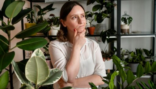 Растение комнатные цветы фикус девушка freepik.com