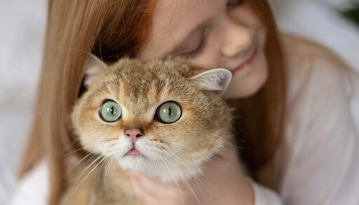 Девушка обнимает кошку