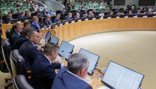 В Тюмени городские депутаты утвердили новый Почетный знак для многодетных семей