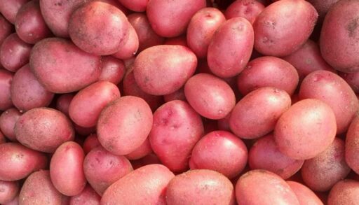 Рост цен на продукты в Тюмени достиг 100%