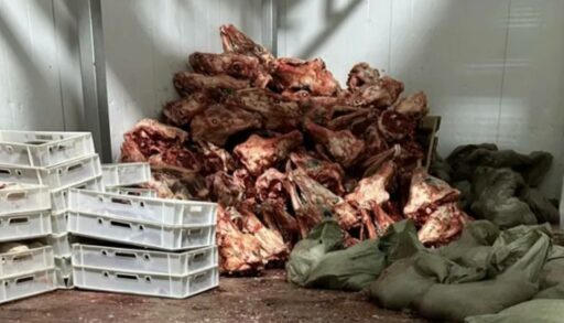 На тюменском убойном пункте выявлены опасные нарушения