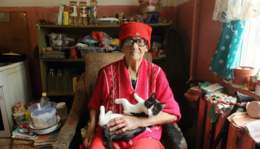 Пенсионеры России