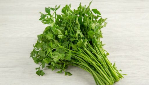 большой пучок петрушки