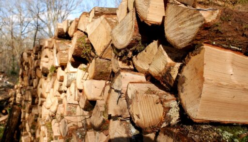 Дрова в лесу