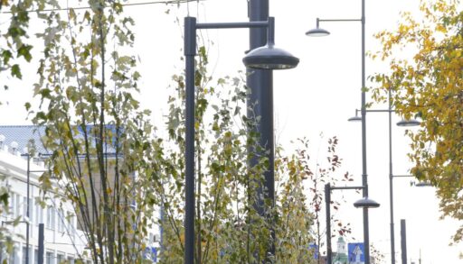 "С «зеленкой» будем работать": тюменский мэр вырубит "депрессивные" деревья